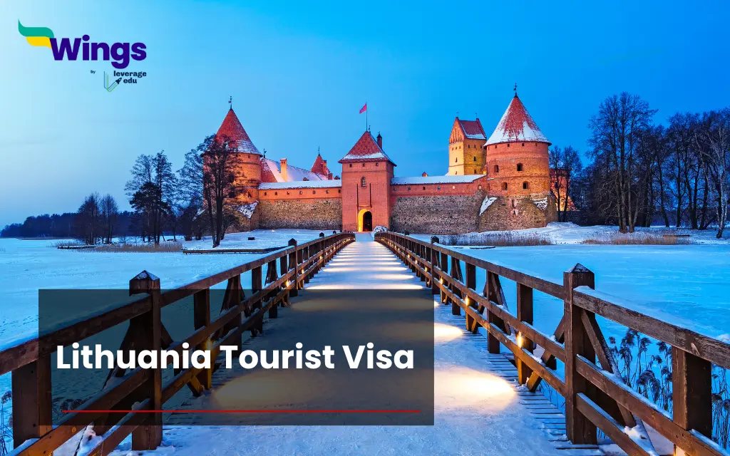 Exploring America Visa Requirements for Lithuanian Travelers